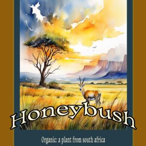 Honeybush